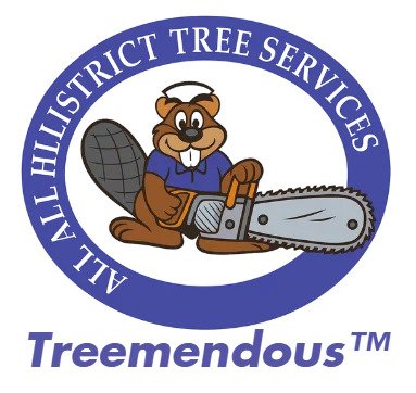 Professional Arborist & Tree Services in the Hills District