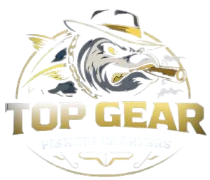 GOLD COAST FISHING CHARTERS – TOP GEAR FISHING CHARTERS